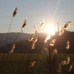 Tagliacozzo / Campo Felice