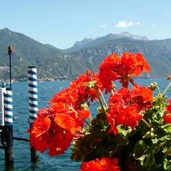 Menaggio / Lugano