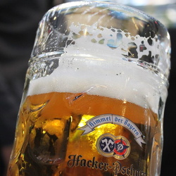 Oktoberfest 2010