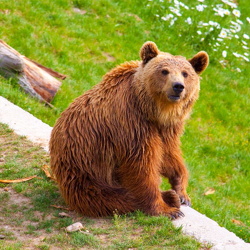 Bern