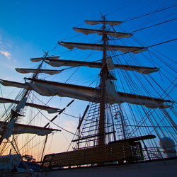 SAIL Amsterdam 2015